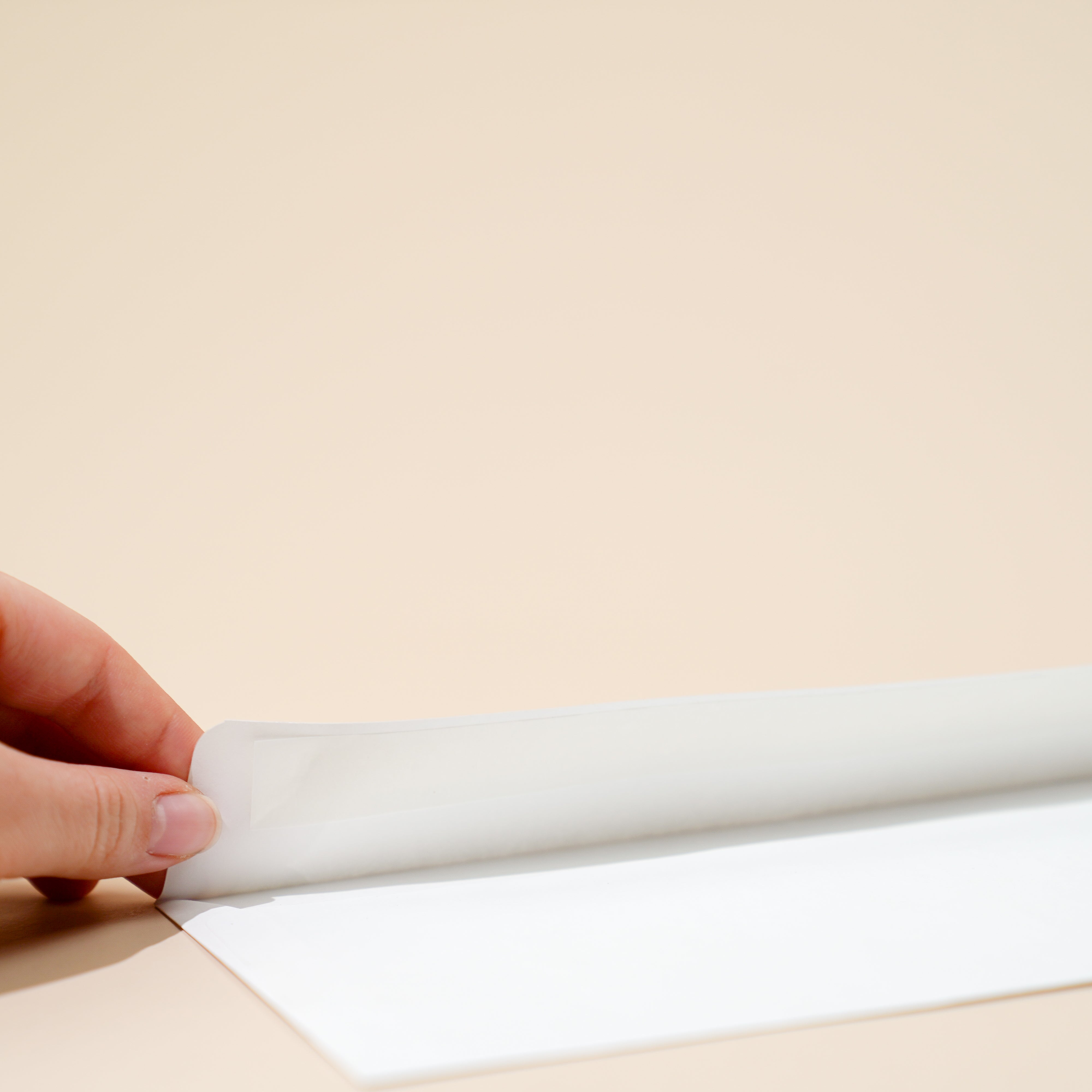 DL Envelopes