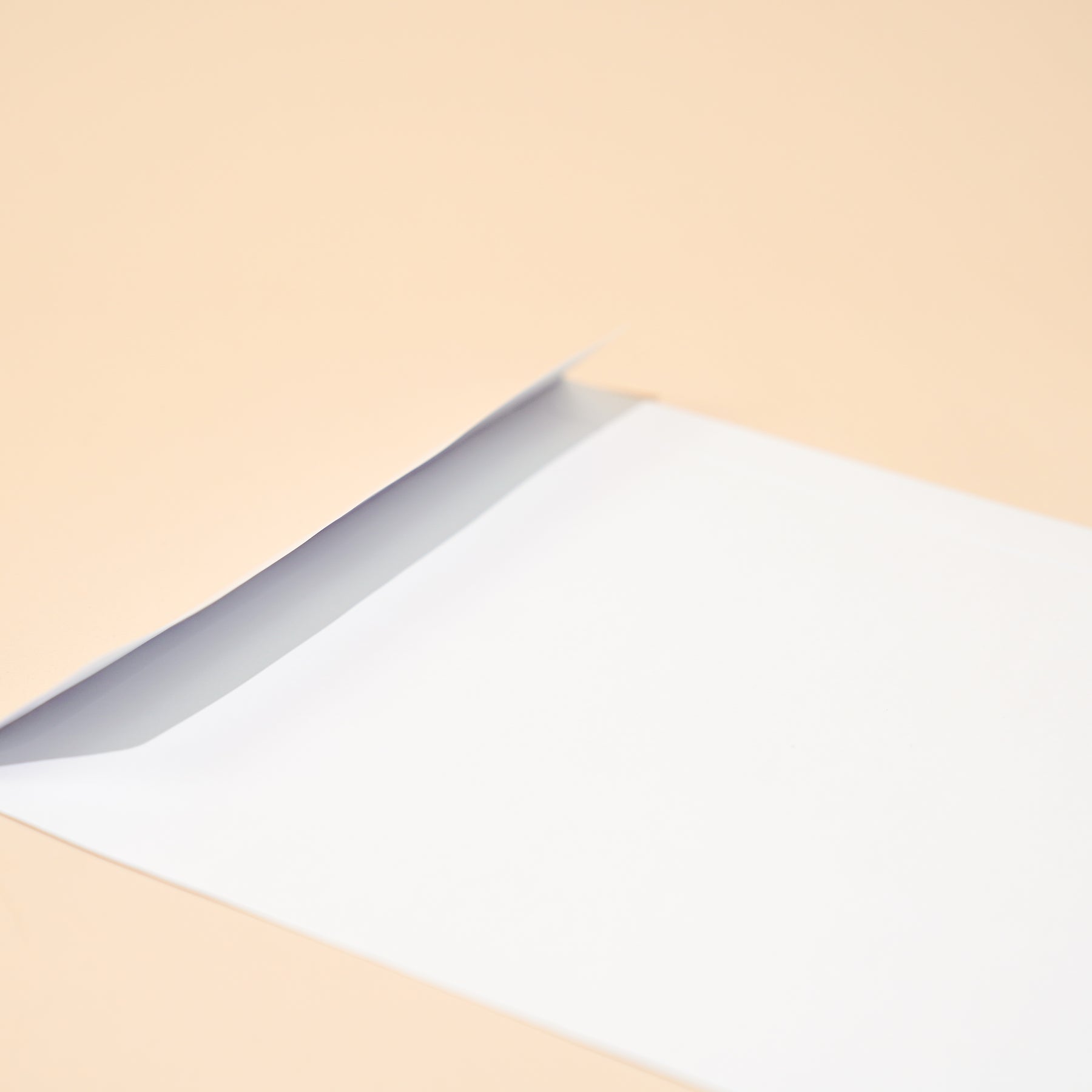 C4 Envelopes